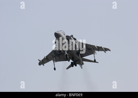 Ein Harrier AV-8 b des US Marine Corps. Stockfoto