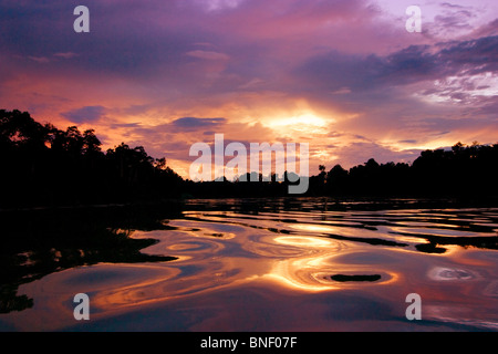 Kinabatangan Fluss bei Sonnenuntergang, Sabah, Malaysia Stockfoto