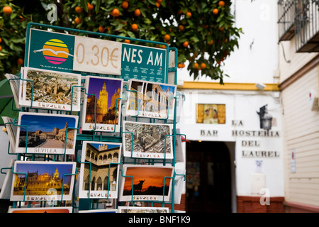 Postkarten / Ansichtskarten zum Verkauf in Sevilla Geschenk store / shop, mit einem fruchttragenden orange Fruchtbaum hinter. Sevilla, Spanien. Stockfoto