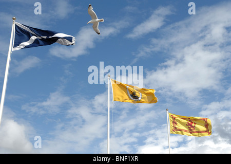 Eine Reihe von drei schottischen Fahnen, einschließlich Saint Andrews und Lion Rampant vor blauem Himmel in Ullapool Schottland fliegen Stockfoto