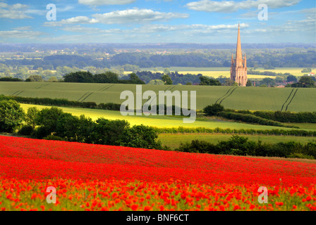 Mohnblumen in einer Ernte von Leinsamen. Blick in Richtung St James Kirche Louth von South Elkington auf den Lincolnshire Wolds. Stockfoto