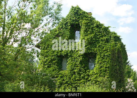 Altes Haus wird überwuchert Stockfoto