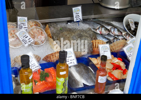 Fenster von einem Fischhändler in Salcombe, South Hams, Devon. Frischer Fisch und Meeresfrüchte aus heimischen Gewässern stehen zum Verkauf. Stockfoto