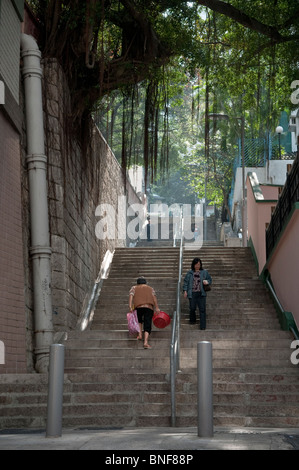 Hong Kong, Tai Ping Shan Straße in Sheung Wan Stockfoto
