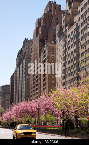 Frühling im Murray Hill Historic District, New York City, USA, Stockfoto