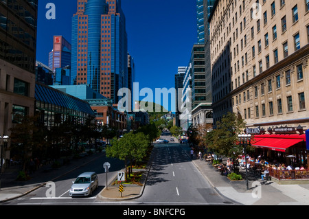 McGill Avenue Downtown Montreal Kanada Stockfoto