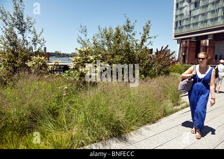 Rubenesque junge Frau im langen blauen Kleid übergibt üppigen Wachstum gedeiht im zweiten Sommer von New York City High Line Park Stockfoto