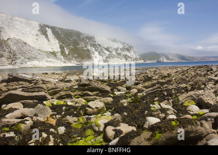 MUPE Bay und arisch Mell an die Küste von Dorset. Stockfoto