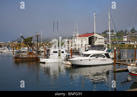 Boote im Hafen von Brookings, Oregon, an der Pazifikküste von Oregon. Stockfoto