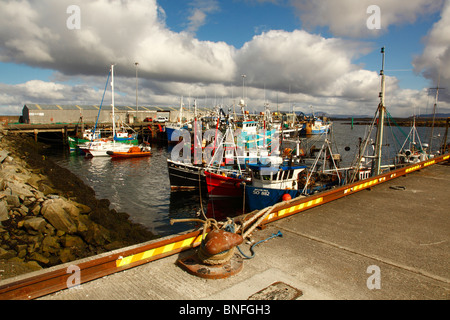 Rossaveel Hafen, Connemara, Co. Galway, Westirland, Eire Stockfoto