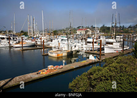 Boote im Hafen von Brookings, Oregon, an der Pazifikküste von Oregon. Stockfoto