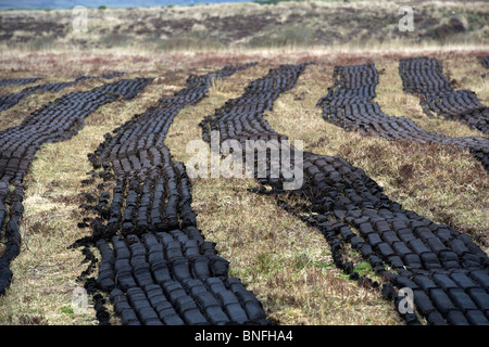 Maschine geschnitten Rasen trocknen in einem Moor in Mayo, Irland Stockfoto