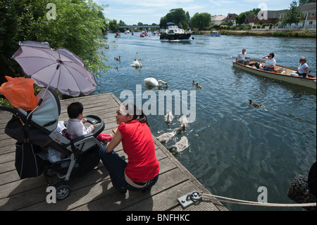 Swan Upping auf Themse. Eine junge Frau und Kind füttern Schwäne, die Swan-Chefin Boot und nähert sich Oberteil Stockfoto