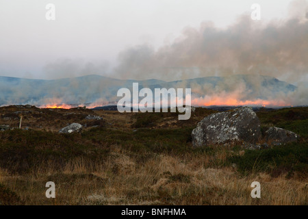 Waldbrände auf dem Moor in Carna, Connemara, Co. Galway, Westirland, Eire. Stockfoto