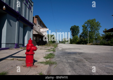 Frisch lackierte Hydranten und verlassene Gebäude Saginaw Michigan USA von Carol Dembinsky/Dembinsky Photo Assoc Stockfoto