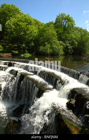 Wehr am Fluss Wye, Monsal Dale, Peak-District-Nationalpark, Derbyshire, England, UK. Stockfoto