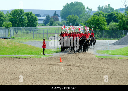 Der musikalischen ritt die königliche kanadische berittene Polizei geben Sie die Arena, die nur zur redaktionellen Verwendung Stockfoto