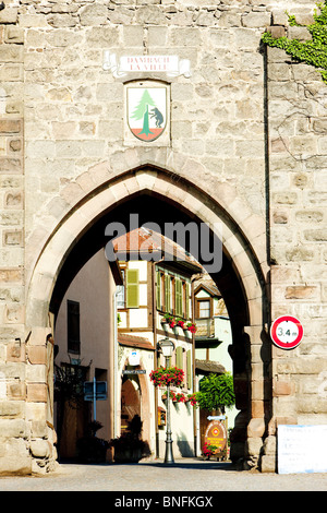 Dambach, Elsass, Frankreich Stockfoto