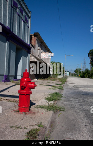 Frisch lackierte Hydranten und verlassene Gebäude Saginaw Michigan USA von Carol Dembinsky/Dembinsky Photo Assoc Stockfoto