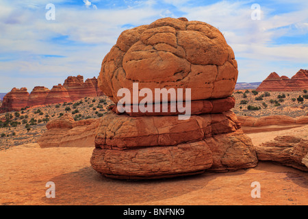 Erodierte Sandsteinformation, die ähnlich wie einen Hamburger im Vermilion Cliffs National Monument, Arizona Stockfoto