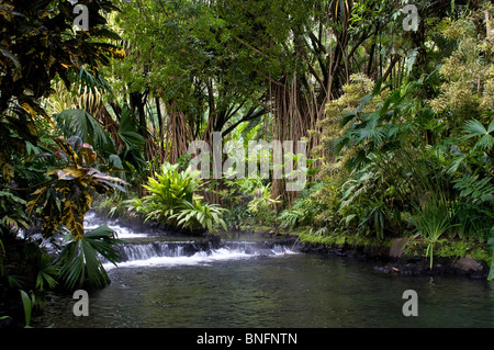 Heißen Quellen von Arenel Vocano im Tabacón Grand Spa, Costa Rica. Stockfoto