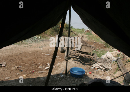 Rumänische Zigeuner in ihrem Lager in der Nähe von Bukarest, Rumänien Stockfoto