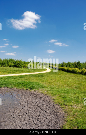 kleinen Teich austrocknen bei heißem Wetter Stockfoto