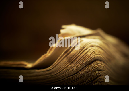 Alten religiösen Buch mit spirituellen Beleuchtung. Makro; flachen DOF; Horizontall Zusammensetzung. Stockfoto