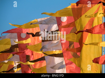 Banner fliegen beim Oxegen Musikfestival, Stockfoto