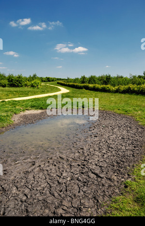 kleinen Teich austrocknen bei heißem Wetter Stockfoto