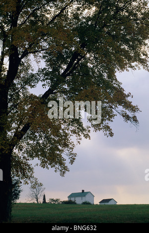 Bauernhaus Manassas, VA Stockfoto