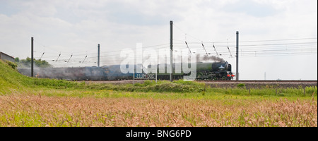 Die neu gebaute Tornado zieht der ikonischen Stockente Dampfzug Shildon von York. Stockfoto