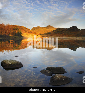 Dawn Reflexionen, Blea Tarn. Langdale Pikes und Seite Hecht spiegelt sich in Blea Tarn im englischen Lake District Stockfoto