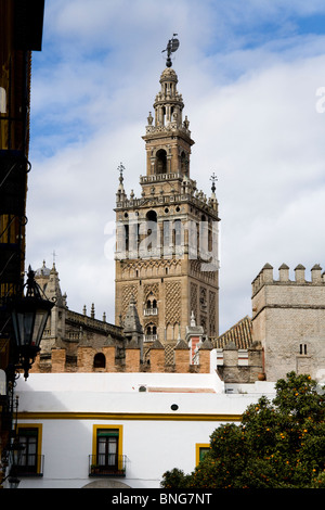 Spitze der Giralda Turm (ehemalige Moschee Minarett Kathedrale Glockenturm umgebaut) über Dächer gesehen. Sevilla / Spanien Sevilla. Stockfoto