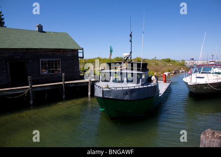 Kommerziellen Fischerboot mit frischen Fang des Sees Felchen Coregonus Clupeaformis vom Lake Michigan Leand Michigan USA Stockfoto