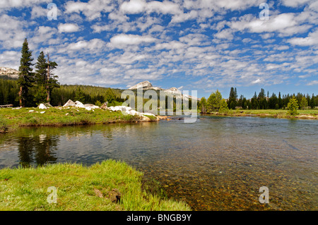 Tuolumne River, Tuolumne Meadows, Yosemite National Park, Kalifornien. Sommermorgen. Stockfoto