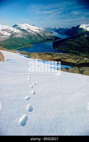 Wanderparadies Fußabdrücke überqueren Schnee-Patch über Morsvikbotn Fjord an der Küste von Nord-Norwegen Stockfoto