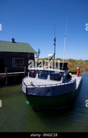 Kommerziellen Fischerboot mit frischen Fang des Sees Felchen Coregonus Clupeaformis vom Lake Michigan Leand Michigan USA Stockfoto