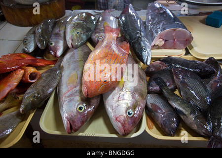 RED SNAPPER und andere Fische werden in der zentrale Markt von PUERTO PRINCESS auf der Insel PALAWAN - Philippinen verkauft. Stockfoto