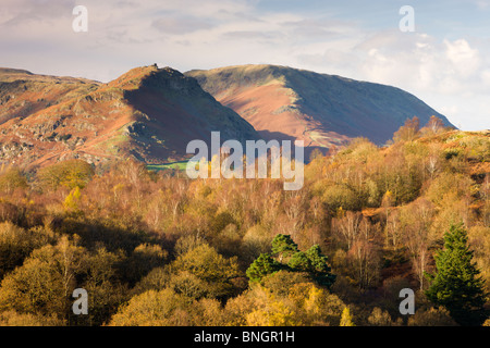 Ruder Crag und Stahl fiel Berge hinter herbstlichen Wald, Grasmere, Nationalpark Lake District, Cumbria, England. Stockfoto