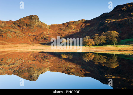 Morgenlicht an die steilen Hänge der Seite Pike, spiegelt sich in Blea Tarn, Nationalpark Lake District, Cumbria, England. Stockfoto