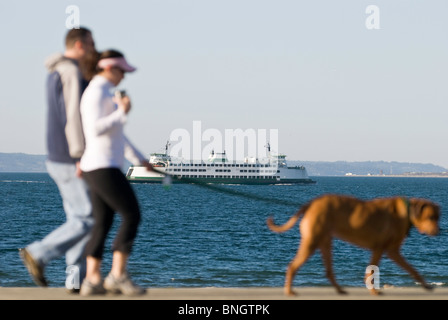 Ein paar ihren Hund spazieren Seattles Alki Beach. Stockfoto