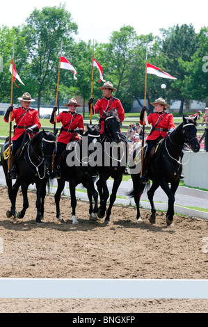 Vier Offiziere Reiten auf die musikalische Reise der kanadischen montiert Polizei Ottawa Juli 2010 Stockfoto