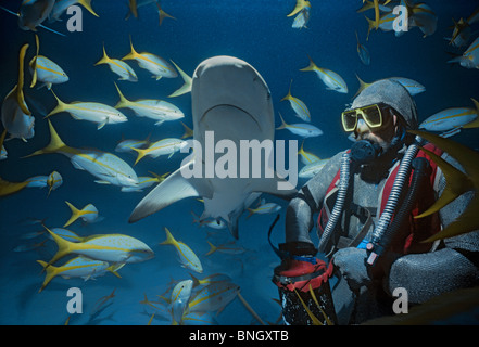 Hai-Handler feeds karibischen Riffhai (Carcharhinus Perezi), Bahamas - Karibik. Stockfoto