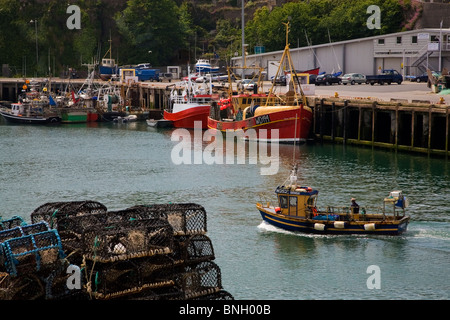 Angelboot/Fischerboot und Hafen, Dunmore East, Grafschaft Waterford, Irland Stockfoto