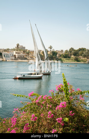 Zwei Feluken Segeln auf dem Nil bei Assuan, Oberägypten Stockfoto