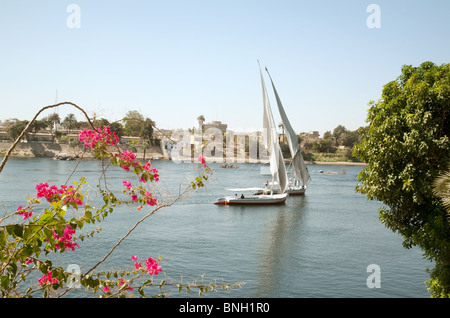 Zwei Feluken Segeln auf dem Nil bei Assuan, Oberägypten Stockfoto