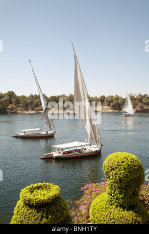 Drei Feluken Segeln auf dem Nil bei Assuan, Oberägypten Stockfoto