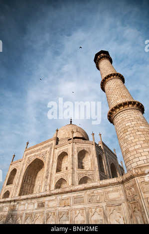 Das Taj Mahal, Agra, Indien Stockfoto