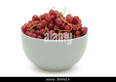 Rote Johannisbeeren Stockfoto